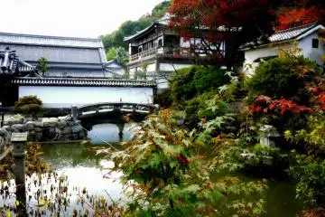 <p>Pond with a bridge &nbsp;</p>