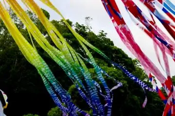 鎌倉　鶴岡八幡宮の七夕