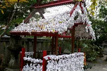 <p>A little house of fortune papers</p>