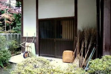 <p>There will be a lot of leaves to sweep up soon!</p>