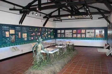 Artifacts and materials from across the nation are studioulsy collected at this museum