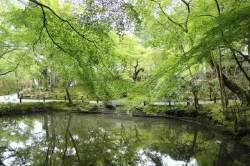 Seiryuchi is the oldest pond in northern Kyoto