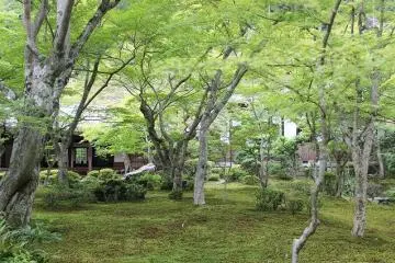 With ever-changing branches in every shade of green, Jyu-gyu no Niwa (Jyu-gyu Garden) is known for its elegance