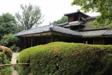 정원으로부터 건물을 임한다. 막 깎여진 사츠키가 기분이 좋다