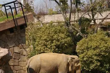 Tennoji Zoo