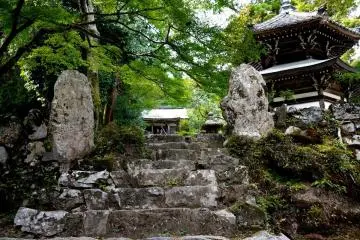 <p>Rough stone steps lead up the hillside &nbsp;</p>
