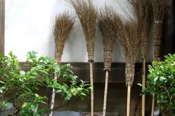 <p>Brush brooms with bamboo handles</p>