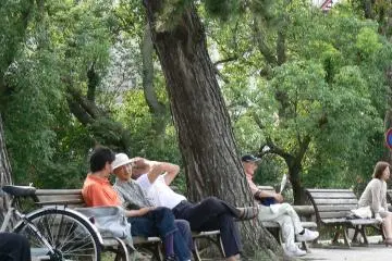 <p>Relaxation pr&egrave;s des pigeons</p>