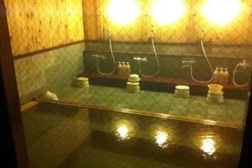 <p>One of the inside baths</p>