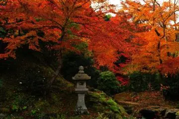 'Garden of Garyo' (Lying Dragon). This garden represents a dragon about to soar up to the heights of heaven via a stream of water and stones. Looking at the soaring dragon liberates your mind (Photo: MASAYOSHI HIROSE)
