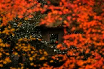 <p>This garden 'borrows scenery' from nature, and was built by Sano Toemon, a famous landscape gardener, and his apprentices</p>