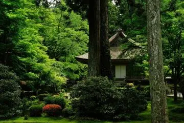 When you hear the name of Sanzen-in, the first thing that comes to your mind must be this building...Ojo Gokuraku-in! (Photo: MASAYOSHI HIROSE)