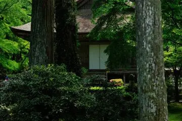 <p>No matter how many times I see Ojo-Gokurakuin, it never ceases to calm my mind. Inside, there are three statues of Amida Nyorai, which are national treasures. To house these treasures, the ceiling of this building is made in the shape of a ship's bottom</p>