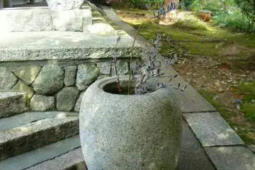 ดอก Pussy willow ในแจกันหิน หน้าอาคา