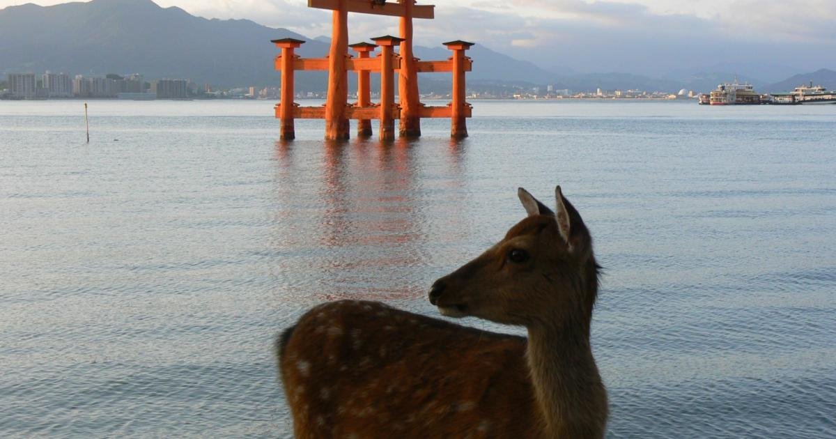 https://assets.japantravel.com/photo/14904-88885/1200x630!/hiroshima-deer-on-miyajima-88885.jpg