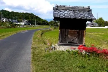 <p>Splash of color beside a small roadside shrine</p>