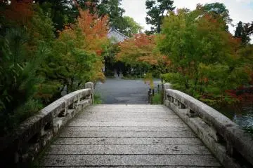 <p>สะพานพาเดินลงไปชมสวน</p>