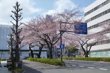 Heiwa Dori 