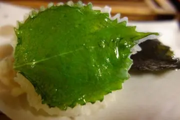 <p>ชอบมากอะ กินใบไม้ทอด 55</p>