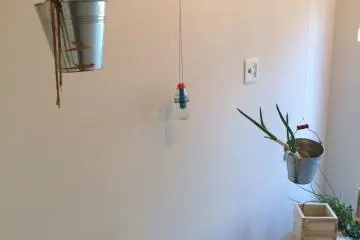 <p>One of the exhibition in Koganecho Bazaar. The artist mentioned that visitors should help these plants grow.</p>