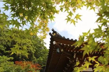 Main hall at Jindaiji Temple