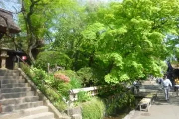 Jindaiji gardens