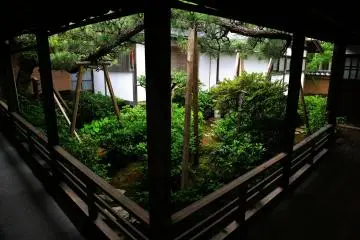 <p>Garden of Senryo. It is a miniature garden located between the main temple building and Shoin</p>