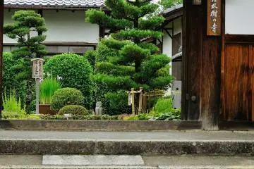 Myoshinji Temple, the head temple of Rinzai School of Zen Buddhism, is a gigantic complex of 48 small temples in Kyoto. This 'Temple of Sala Tree', Torin-in, is one of the 48 under the umbrella of Myoshinji Temple. When I visited, many tourists were there to enjoy beautiful flowers (Photo: MASAYOSHI HIROSE)