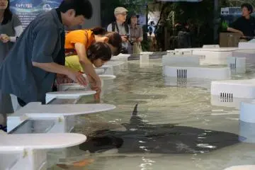 <p>ตอนสุดท้ายมีให้จับปลาด้วย ดูเหมือนเด็กๆจะชอบเป็นพิเศษ เอ้ หรือโดนแม่บังคับ</p>