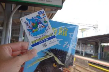 <p>ไปที่นี่แนะนำอย่างยิ่งให้ซื้อบัตรที่รวมค่า subway ฟรีทุกสายทั้งวัน คุ้มมากๆ อยู่ที่นี่ครึ่งวันแล้วไปต่อที่อื่นได้อีกเพียบ!</p>