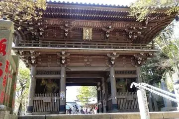 Gallery image