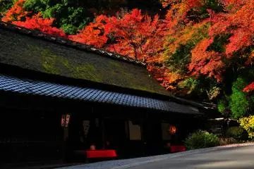Tea house with burning-red autumn leaves in the backdrop. Autumn is the busiest season of the year here (Photo: MASAYOSHI HIROSE)