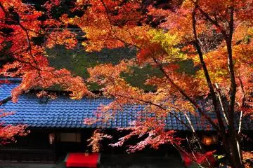 <p>When you pass by Hirano-ya Teahouse, go straight and turn right; you'll be at the same spot from where I took the 2nd photo. Watch your step, since the ground here is unsteady</p>