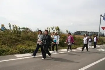 <p>Walking together</p>
