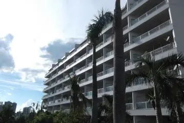 Opposite side view
