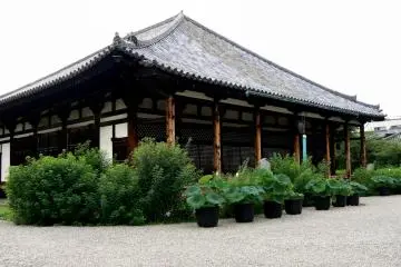 <p>The main hall of Gangoji &nbsp;</p>