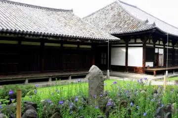 <p>The roof tiles of Gango-ji are particularly beautiful</p>