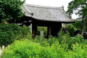 <p>An unused gate behind a stand of bush clover</p>