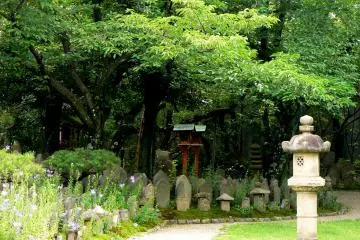 <p>The garden has so much charm!</p>