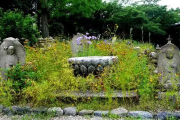 <p>The garden border looks artless, as if it was completely natural &nbsp;</p>