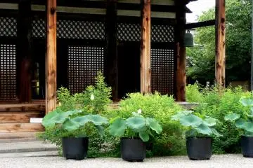 <p>Lattice sliding screens form the doors of the temple</p>