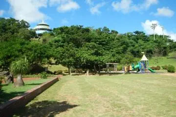 <p>A view of the main park field. A good spot for Frisbee, sun bathing, etc. There is also shaded areas with picnic tables</p>
