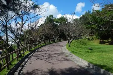 <p>The main path leading to the top of the ridge</p>