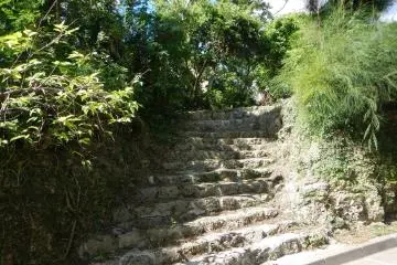 <p>Stone staircases leading off the path to private tombs (o-haka)</p>