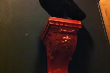 They eponymous crow