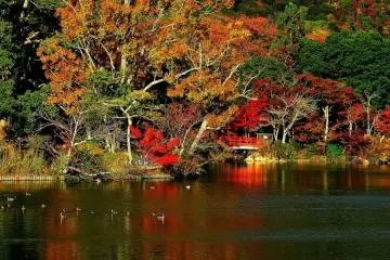 <p>Brilliant red of Tenjin Island Bridge over the pond</p>