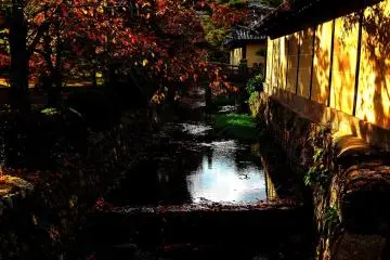 <p>Arisugawa River flows around the temple. Photographers try hard to capture the shot of the river with the setting sun and fallen leaves in the stream</p>