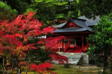 <p>Reimei-den</p>
