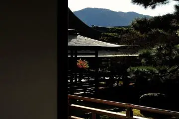 <p>Classic corridors connecting each temple building are one of the landmark features of Daikakuji Temple</p>