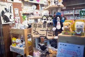 Necodan Cat-themed Gift Store